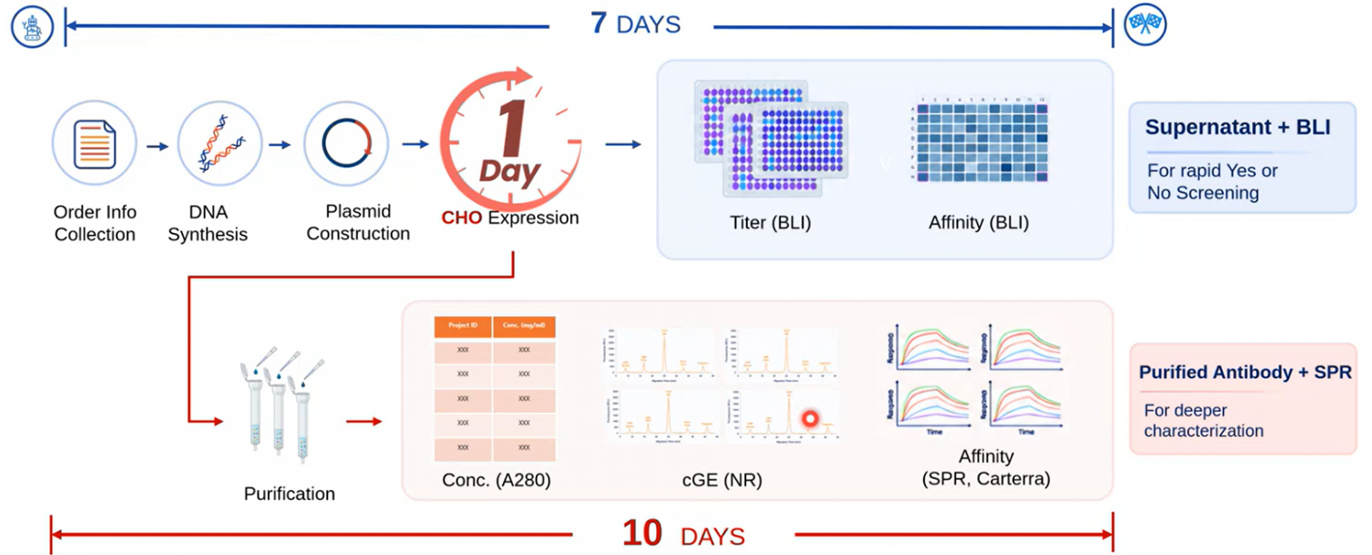 Spr Example Data 線上講座_RushData : Delivering Rapid Wet-Lab Data to Close the Loop on AI ...