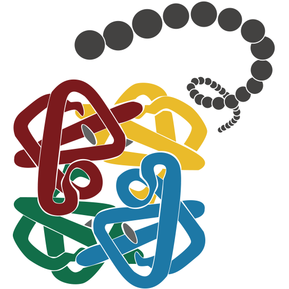 Member